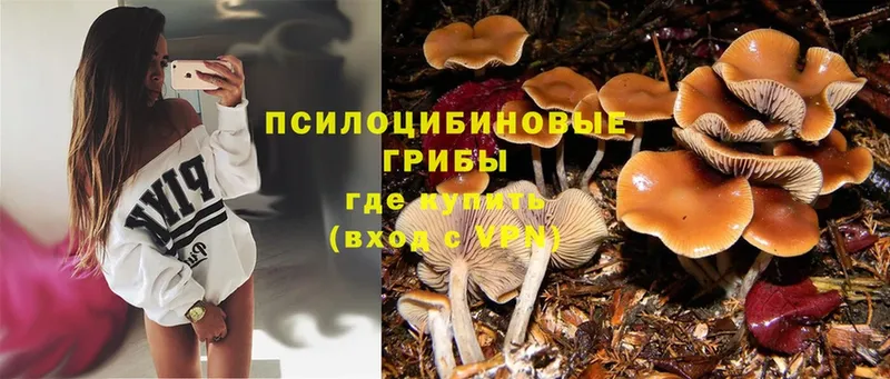 Галлюциногенные грибы MAGIC MUSHROOMS  KRAKEN ONION  Салават  продажа наркотиков 